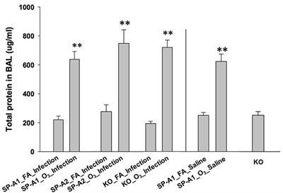 Differential Effects of Human SP-A1 and SP-A2 on the BAL Proteome and Signaling Pathways in Response to Klebsiella pneumoniae and Ozone Exposure